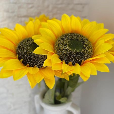 Апартаменты Attico Girasole Лидо-ди-Остия Экстерьер фото