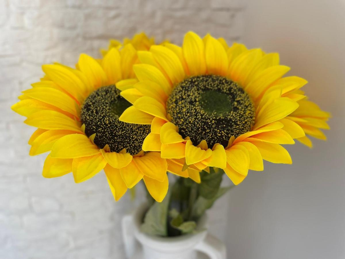 Апартаменты Attico Girasole Лидо-ди-Остия Экстерьер фото